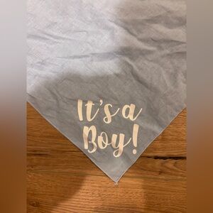 Blue it’s a boy dog bandana
